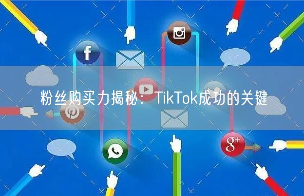 粉丝购买力揭秘：TikTok成功的关键