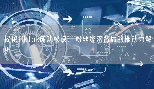 揭秘TikTok成功秘诀：粉丝经济背后的推动力解析