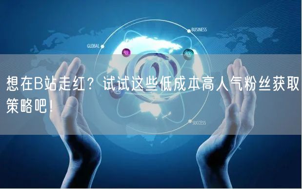 想在B站走红？试试这些低成本高人气粉丝获取策略吧！