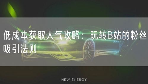 低成本获取人气攻略：玩转B站的粉丝吸引法则