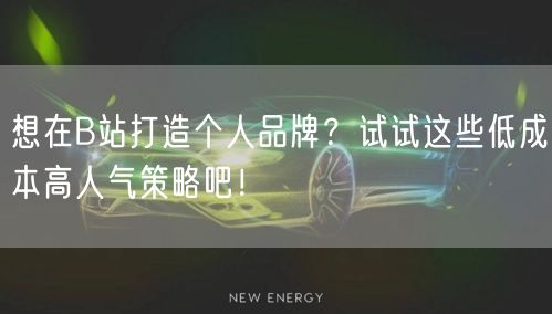 想在B站打造个人品牌？试试这些低成本高人气策略吧！