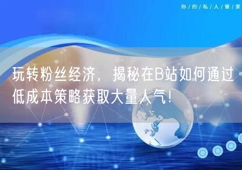 玩转粉丝经济，揭秘在B站如何通过低成本策略获取大量人气！