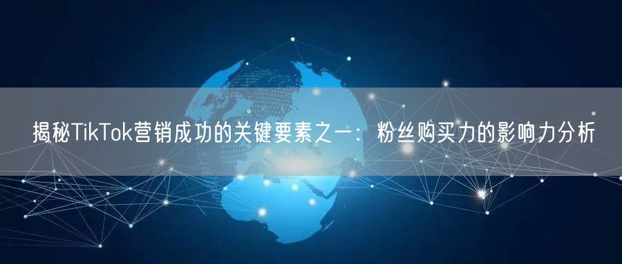 揭秘TikTok营销成功的关键要素之一：粉丝购买力的影响力分析