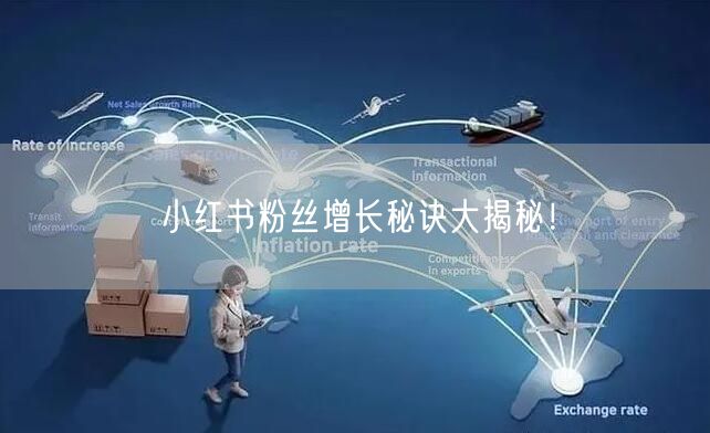 小红书粉丝增长秘诀大揭秘！