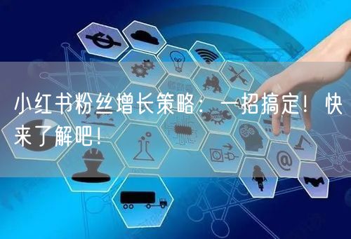 小红书粉丝增长策略：一招搞定！快来了解吧！