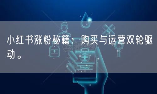 小红书涨粉秘籍：购买与运营双轮驱动。