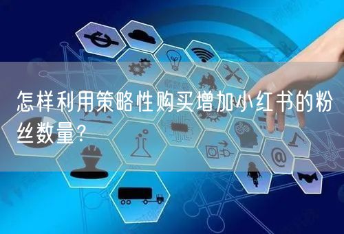 怎样利用策略性购买增加小红书的粉丝数量？