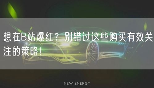 想在B站爆红？别错过这些购买有效关注的策略！