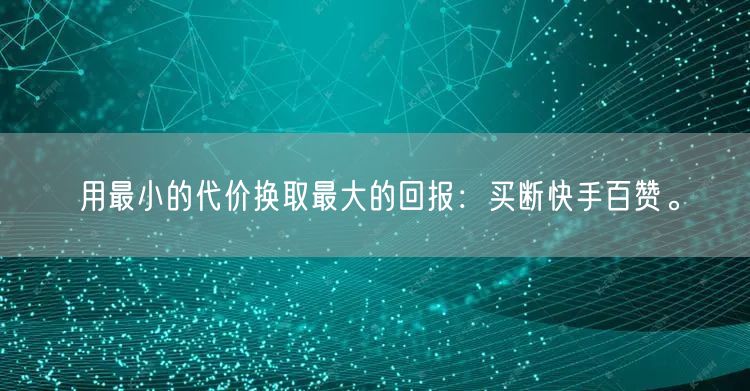 用最小的代价换取最大的回报：买断快手百赞。