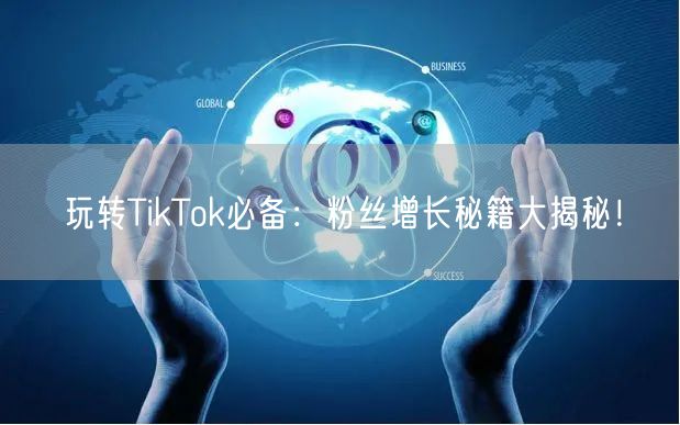 玩转TikTok必备：粉丝增长秘籍大揭秘！