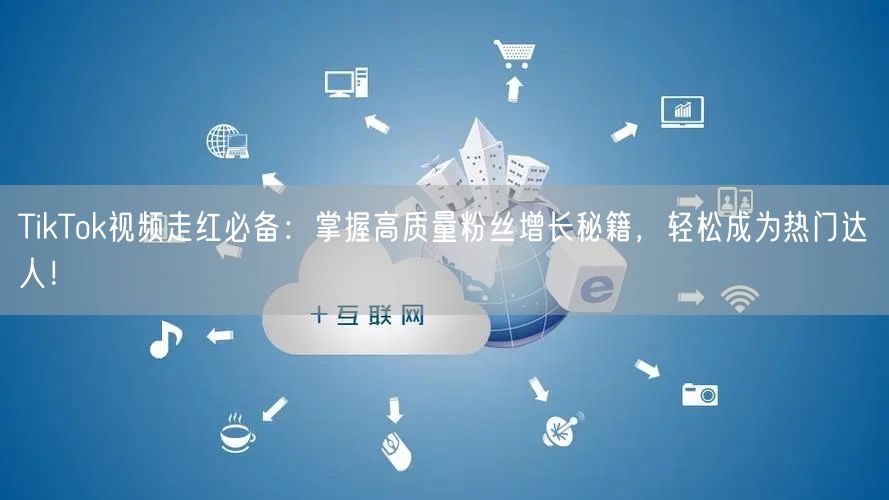 TikTok视频走红必备：掌握高质量粉丝增长秘籍，轻松成为热门达人！