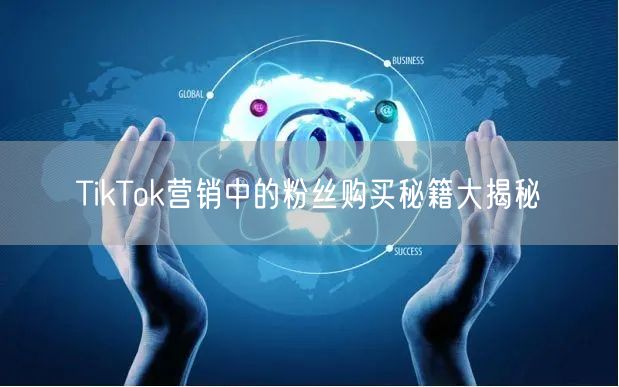 TikTok营销中的粉丝购买秘籍大揭秘