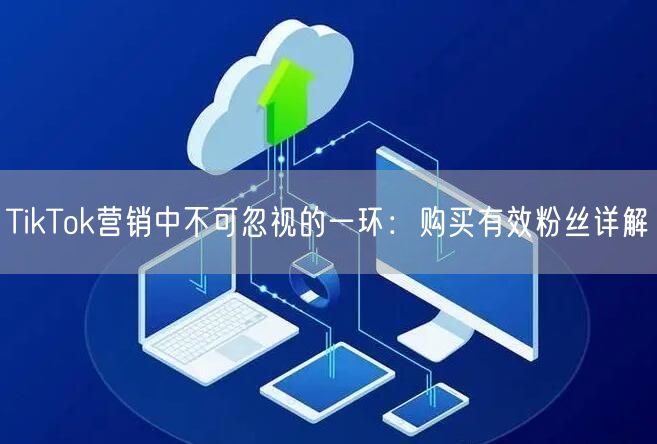 TikTok营销中不可忽视的一环：购买有效粉丝详解