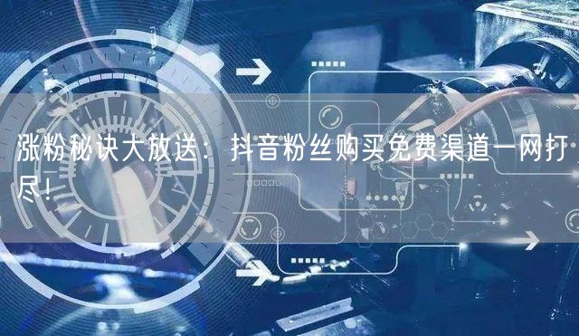 涨粉秘诀大放送：抖音粉丝购买免费渠道一网打尽！