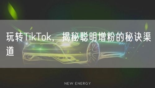玩转TikTok，揭秘聪明增粉的秘诀渠道