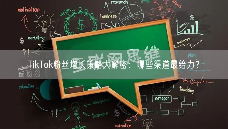TikTok粉丝增长策略大解密：哪些渠道最给力？