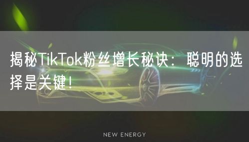 揭秘TikTok粉丝增长秘诀：聪明的选择是关键！