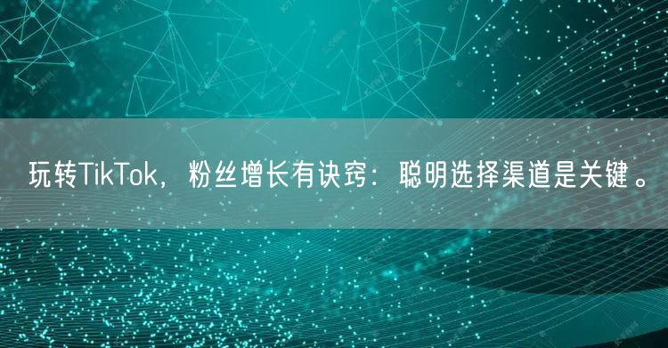 玩转TikTok，粉丝增长有诀窍：聪明选择渠道是关键。