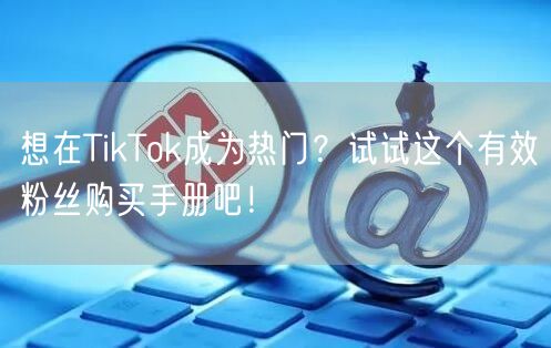想在TikTok成为热门？试试这个有效粉丝购买手册吧！