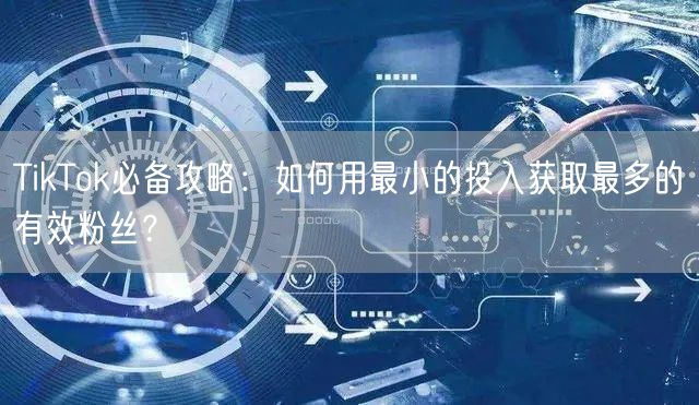 TikTok必备攻略：如何用最小的投入获取最多的有效粉丝？