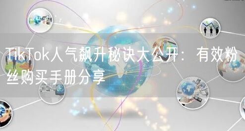 TikTok人气飙升秘诀大公开：有效粉丝购买手册分享