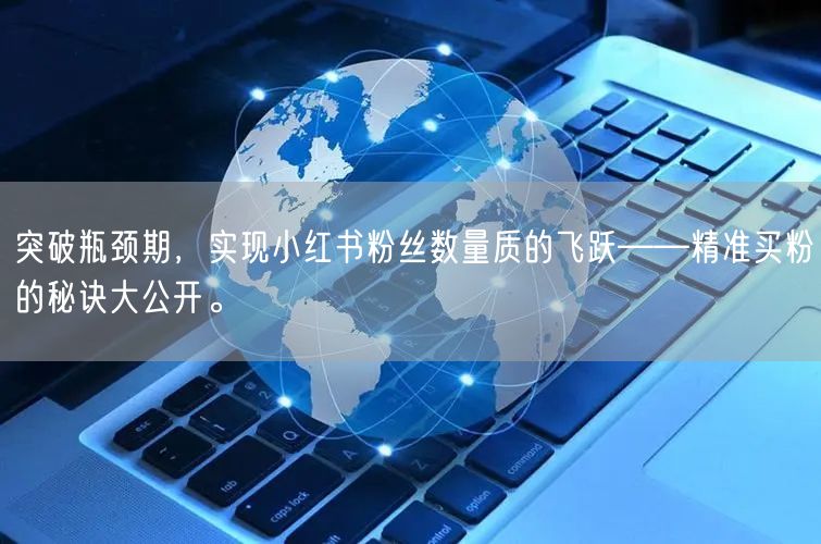 突破瓶颈期，实现小红书粉丝数量质的飞跃——精准买粉的秘诀大公开。