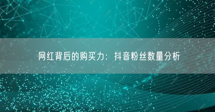 网红背后的购买力：抖音粉丝数量分析