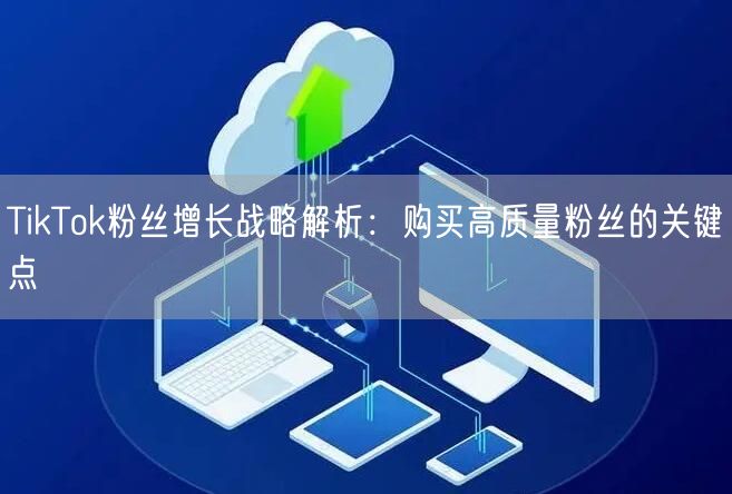 TikTok粉丝增长战略解析：购买高质量粉丝的关键点