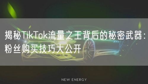 揭秘TikTok流量之王背后的秘密武器：粉丝购买技巧大公开