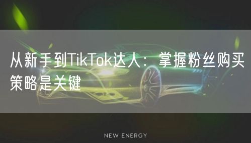 从新手到TikTok达人：掌握粉丝购买策略是关键
