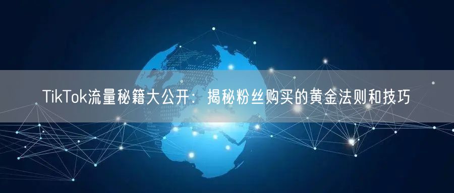 TikTok流量秘籍大公开：揭秘粉丝购买的黄金法则和技巧