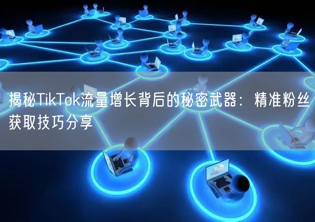 揭秘TikTok流量增长背后的秘密武器：精准粉丝获取技巧分享
