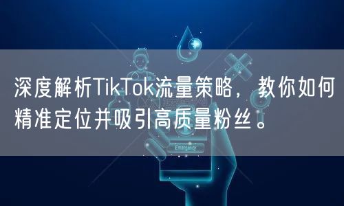 深度解析TikTok流量策略，教你如何精准定位并吸引高质量粉丝。