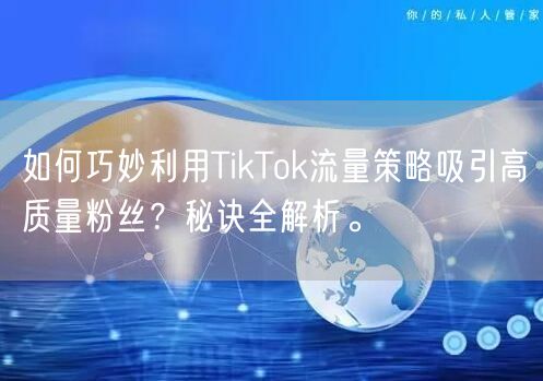 如何巧妙利用TikTok流量策略吸引高质量粉丝？秘诀全解析。