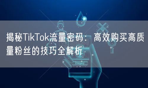 揭秘TikTok流量密码：高效购买高质量粉丝的技巧全解析