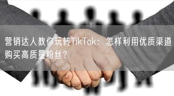 营销达人教你玩转TikTok：怎样利用优质渠道购买高质量粉丝？