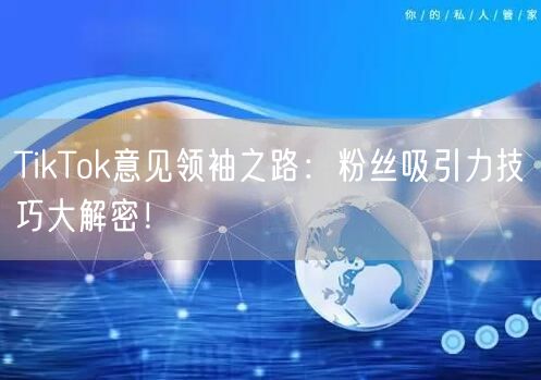 TikTok意见领袖之路：粉丝吸引力技巧大解密！