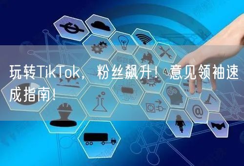 玩转TikTok，粉丝飙升！意见领袖速成指南！