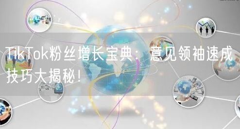 TikTok粉丝增长宝典：意见领袖速成技巧大揭秘！