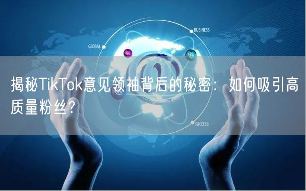 揭秘TikTok意见领袖背后的秘密：如何吸引高质量粉丝？