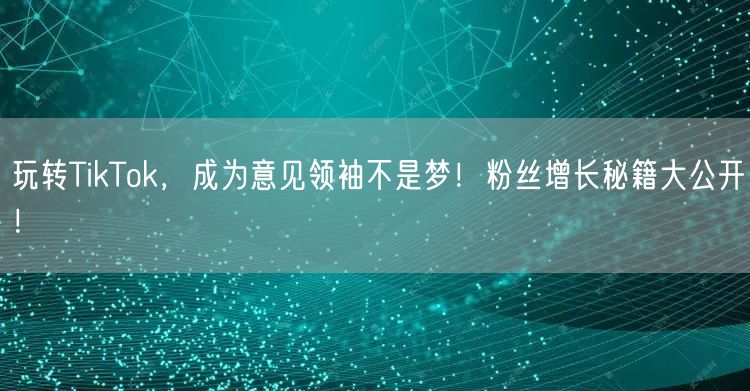 玩转TikTok，成为意见领袖不是梦！粉丝增长秘籍大公开！