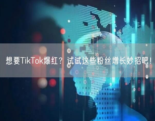 想要TikTok爆红？试试这些粉丝增长妙招吧！