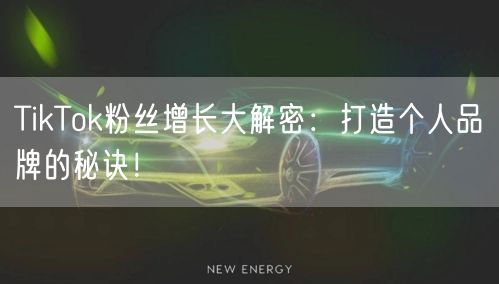 TikTok粉丝增长大解密：打造个人品牌的秘诀！