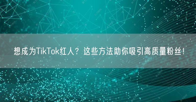 想成为TikTok红人？这些方法助你吸引高质量粉丝！