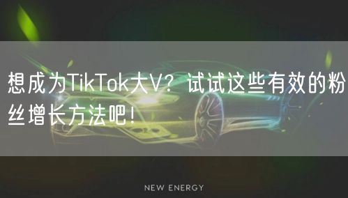想成为TikTok大V？试试这些有效的粉丝增长方法吧！