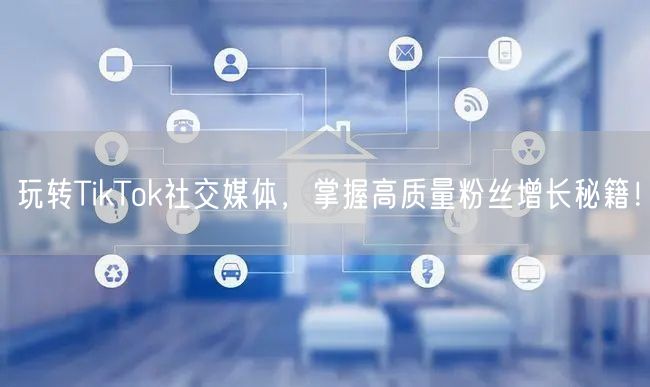玩转TikTok社交媒体，掌握高质量粉丝增长秘籍！