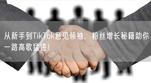 从新手到TikTok意见领袖，粉丝增长秘籍助你一路高歌猛进！