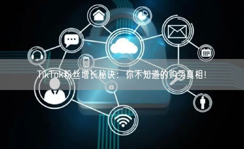 TikTok粉丝增长秘诀：你不知道的购买真相！