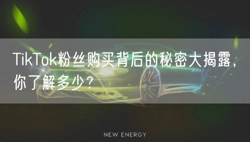 TikTok粉丝购买背后的秘密大揭露，你了解多少？