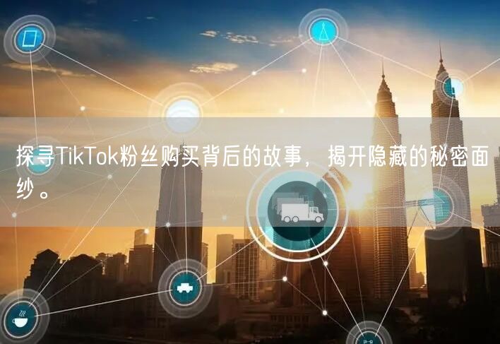 探寻TikTok粉丝购买背后的故事，揭开隐藏的秘密面纱。